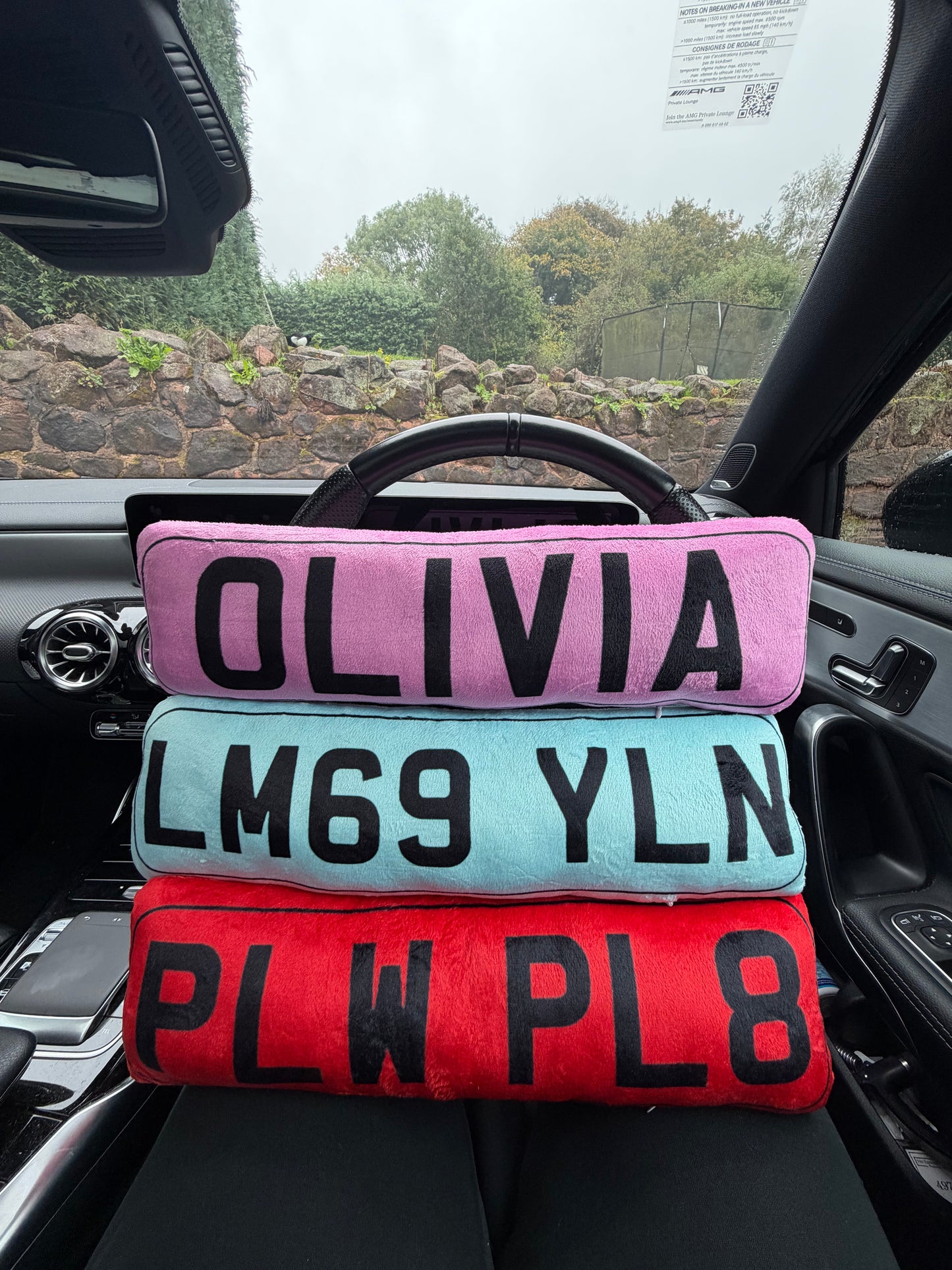 Personalised Number Plate Pillow Multi Coloured